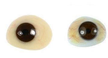 案例展示 案例展示