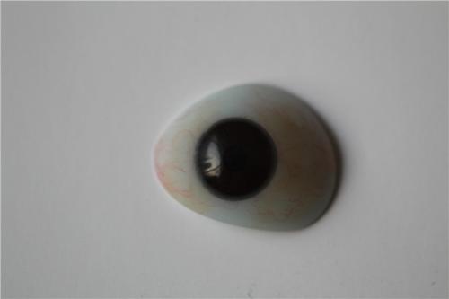 给客户定制的义眼片 给客户定制的义眼片