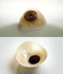 定制的义眼 定制的义眼