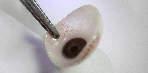 定制出来的义眼片 定制出来的义眼片